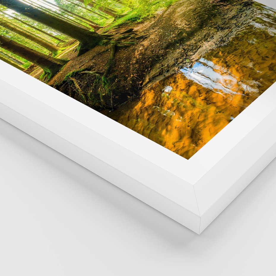 Plakat w ramie 40x50 - Las nad Wodą - las, woda - rama biała