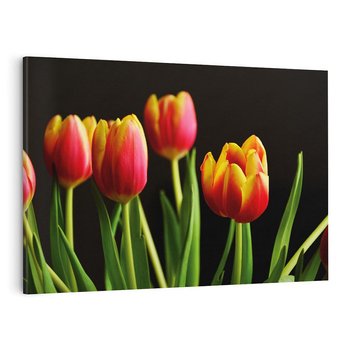 Obraz na płótnie 120x80 - Tulipany w przyrodzie: harmonia kształtów - tulipany, kiwaty