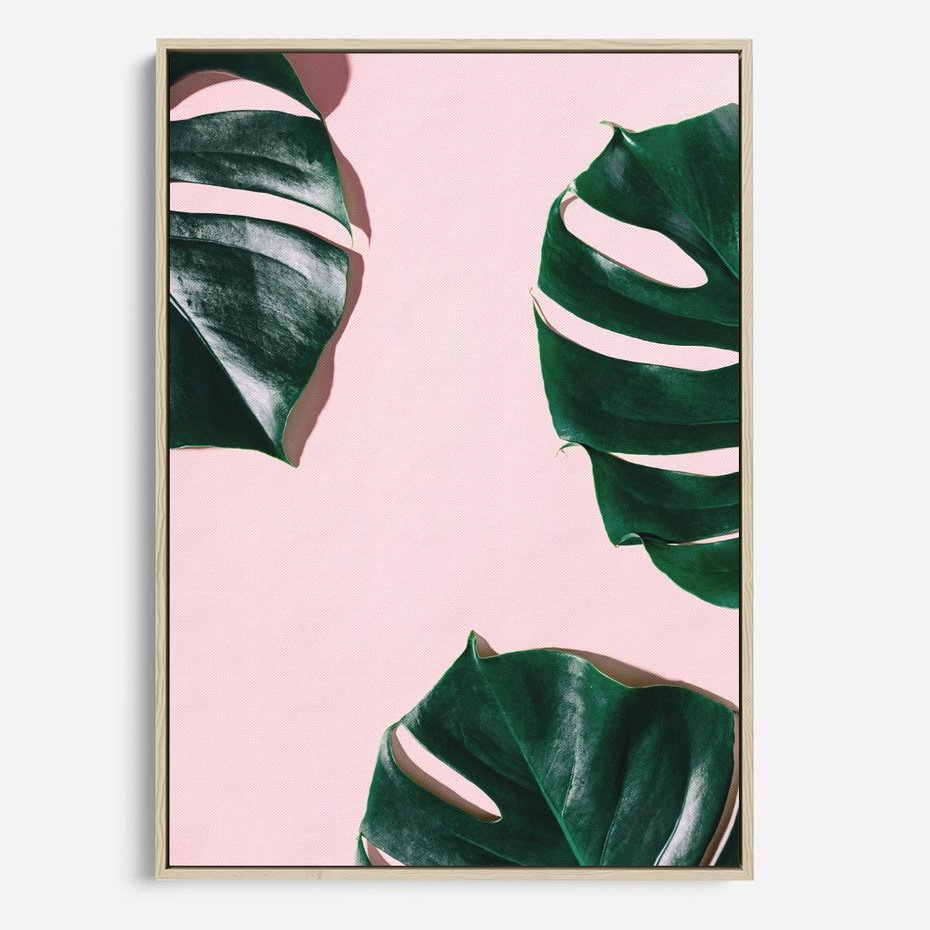 Obraz w ramie 50x70 - Siła Natury - liście, monstera - rama drewno