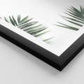 Plakat w ramie 50x70 - Liście Palmy na Czystym Tle - liście palmy, białe tło - rama czarna