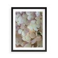 Plakat w ramie 40x50 - Kwiatowy taniec - kwiaty, hortensje - rama czarna