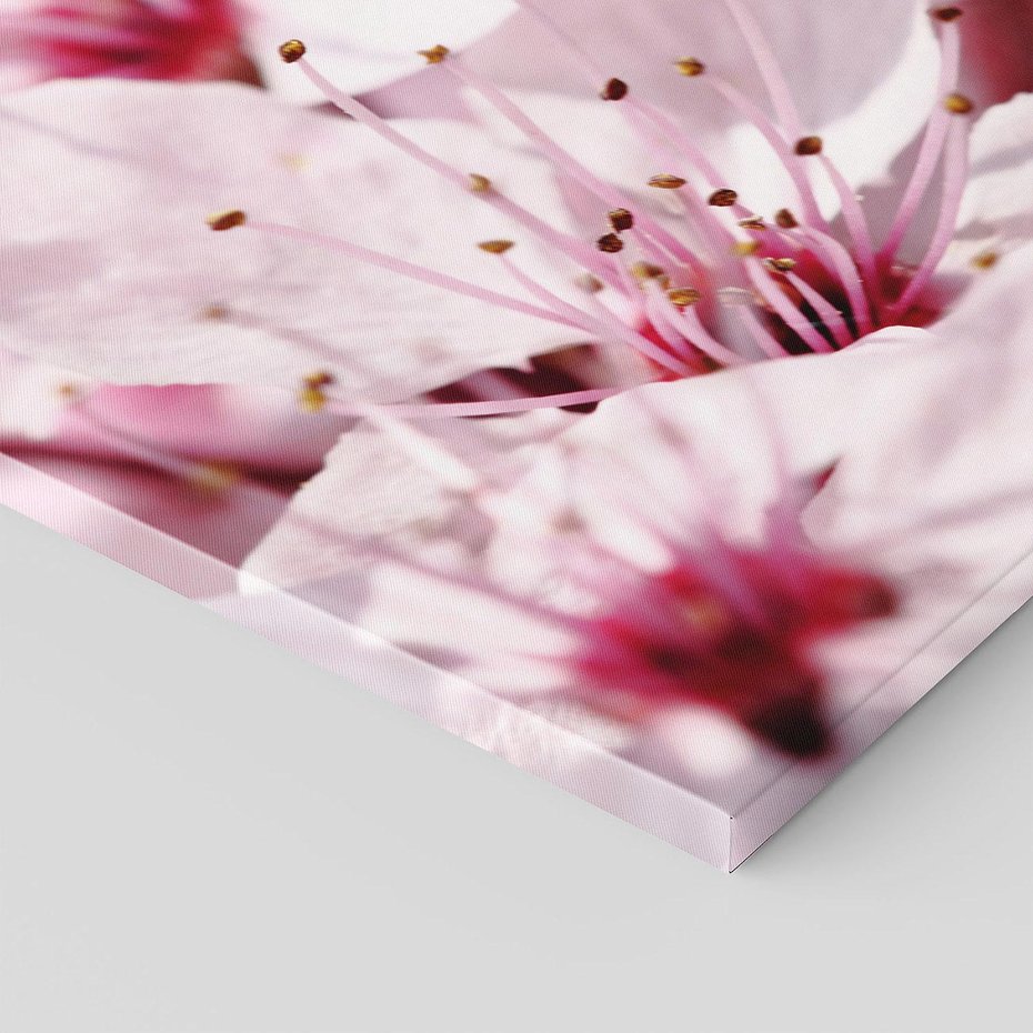 Obraz na płótnie 40x40 - Kwitnąca Wiśnia - kwiaty, kwitnąca