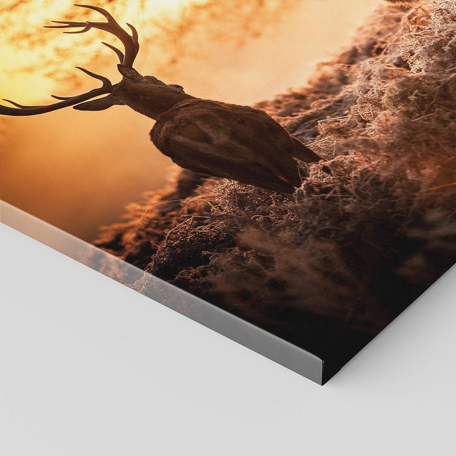 Obraz na płótnie 120x80 - Jeleń w lesie: Spotkanie w dziczy - jeleń, jelenie