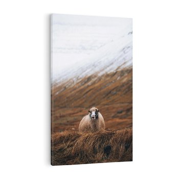 Obraz na płótnie 70x100 - Owiecka panorama - góry, owca