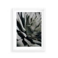 Plakat w ramie 30x40 - Sukulenty wśród kaktusów - sukulenty, kaktusy - rama biała
