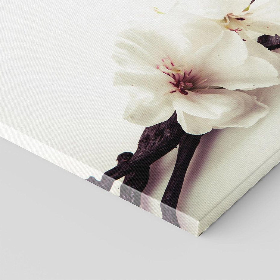 Obraz na płótnie 60x60 - Czuła delikatność wanilii - wanilia, kwiaty