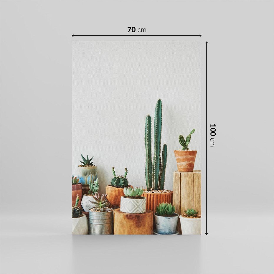 Obraz na płótnie 70x100 - Naturalna Harmonia - kaktusy, liście