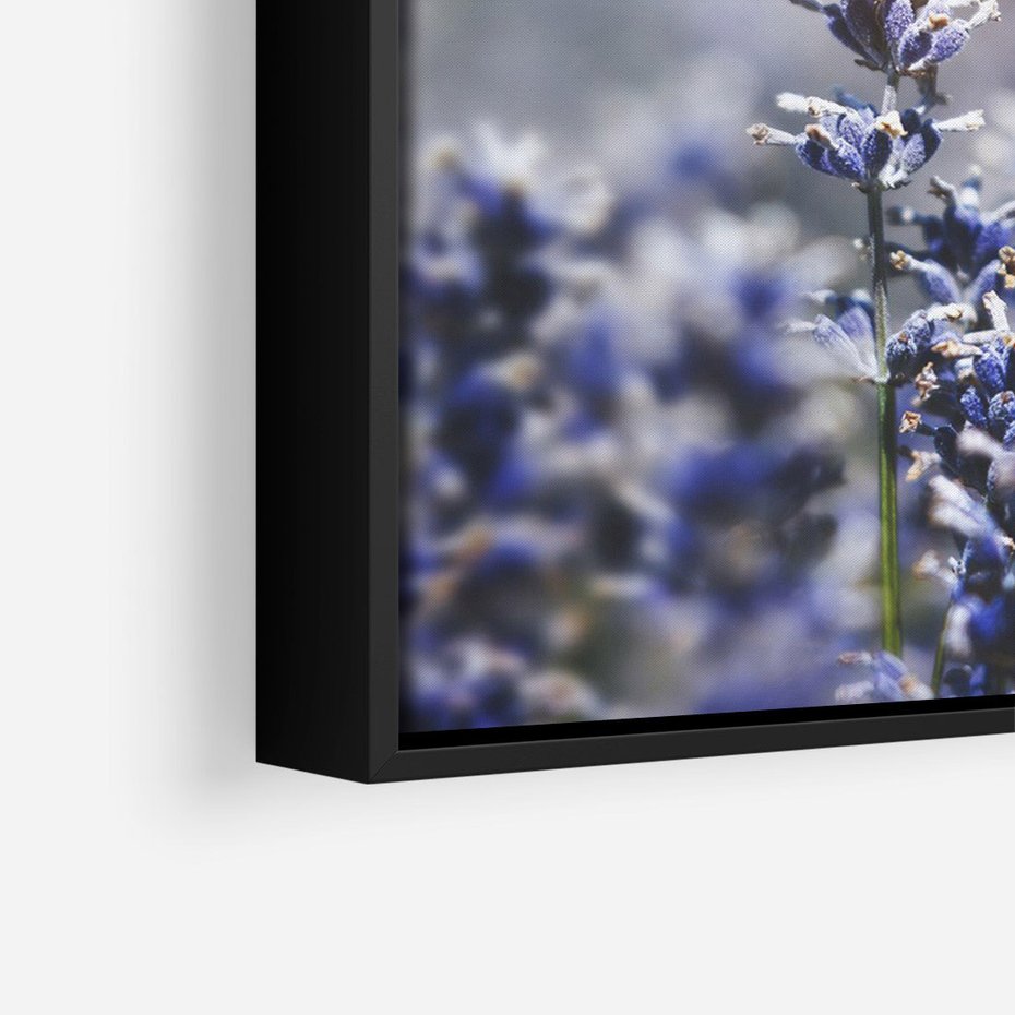 Obraz w ramie 70x100 - Delikatna Uroda Natury - wrzosy, fiolet - rama czarna