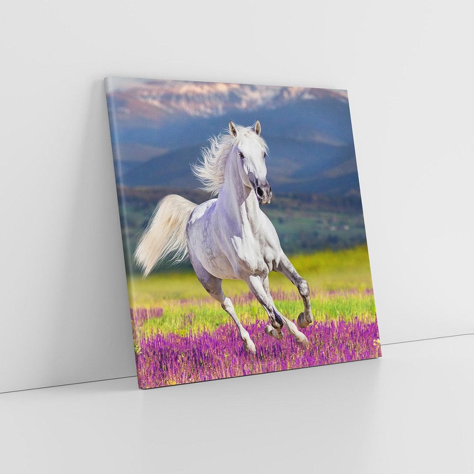 Obraz na płótnie 30x30 - Koń Góry: Spotkanie z Wielką Przyrodą - koń, góry