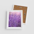 Plakat w ramie 40x50 - Fioletowa harmonia lawendy - lawenda, fiolet - rama biała
