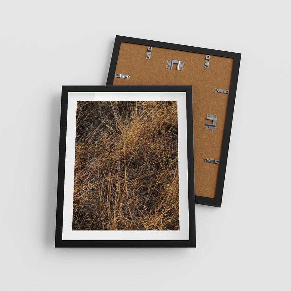 Plakat w ramie 40x50 - Szlachetna Suchość Traw - trawy, suche trawy - rama czarna