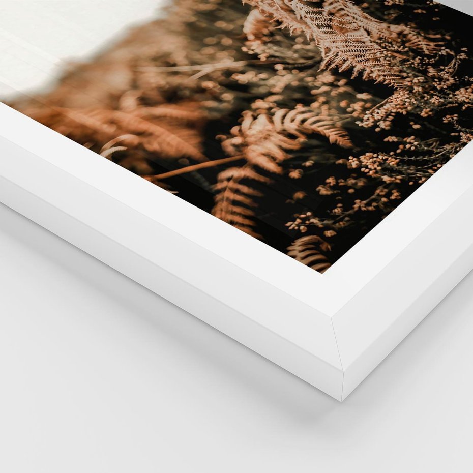 Plakat w ramie 30x40 - Jesienna Harmonia - suche paprocie, jesienny krajobraz - rama biała