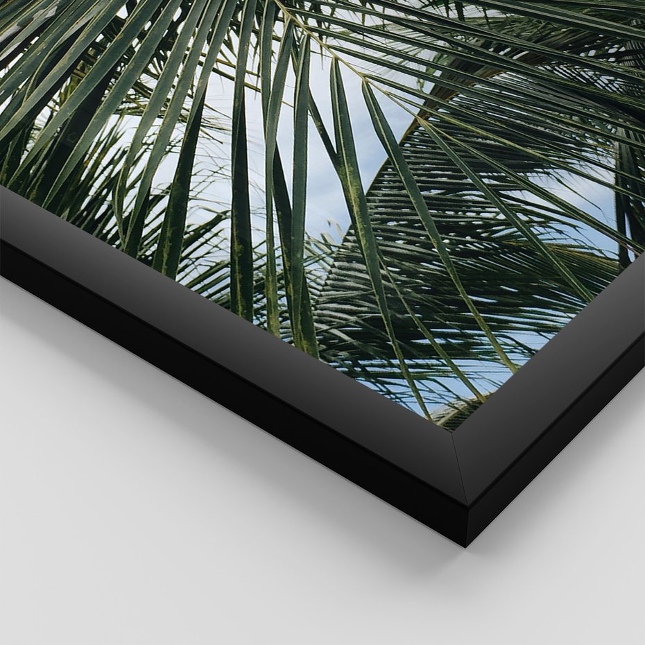 Zestaw obrazy w ramie 40x50 galeria - Palmy, pozytywe, myślenie - rama czarna