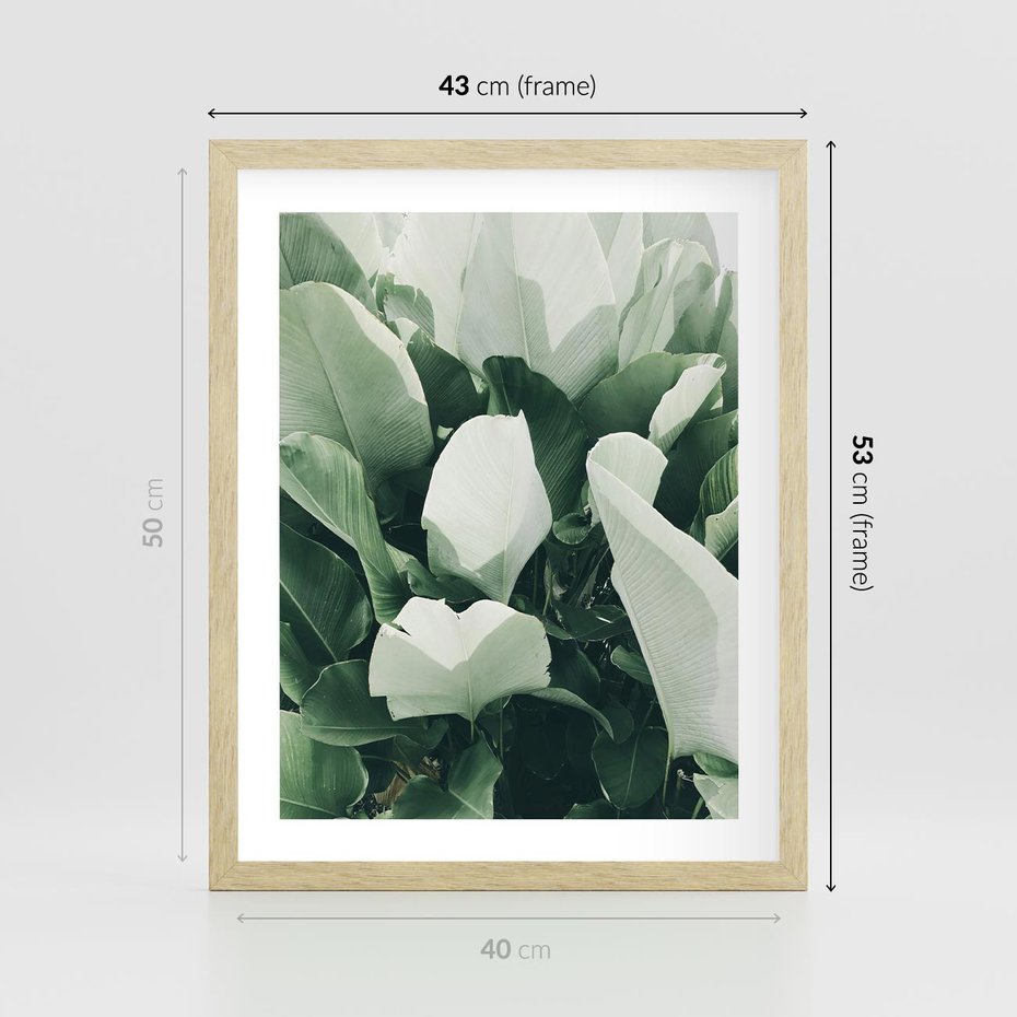 Plakat w ramie 40x50 - Zgaszona Uroda Natury - zielone liście, zgaszona zieleń - rama drewno
