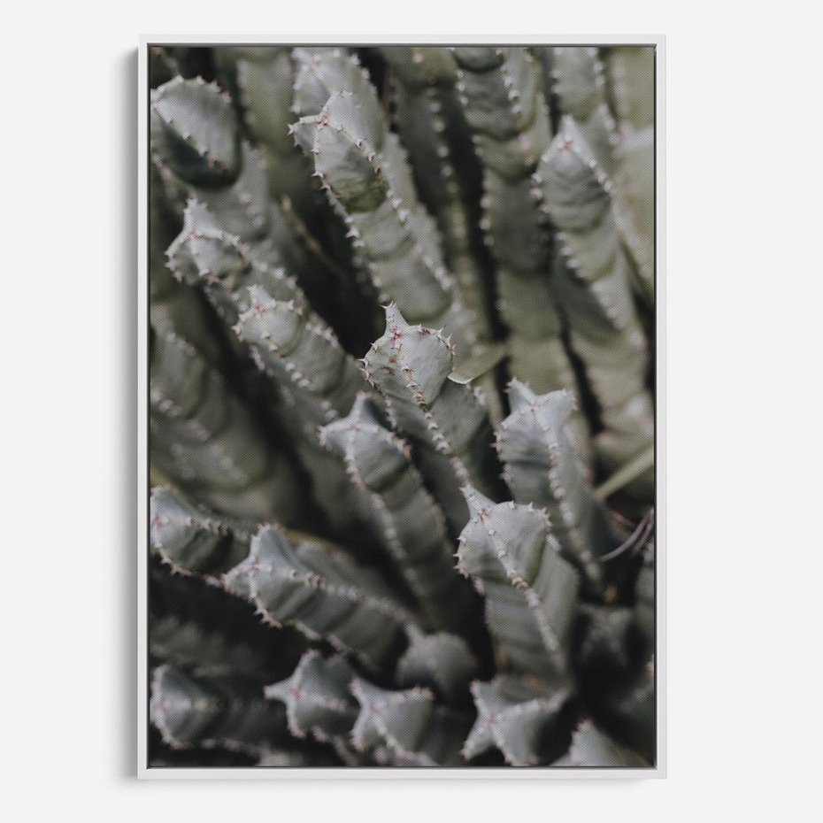 Obraz w ramie 50x70 - Boho kaktusy na pustyni - kaktusy, pustynia - rama biała