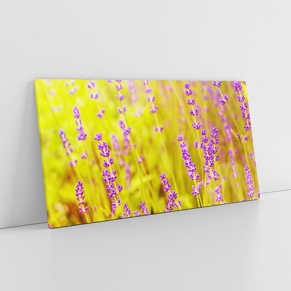 Obraz na płótnie 120x60 - Delikatność natury - lawenda, kwiaty