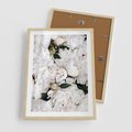 Plakat w ramie 50x70 - Modne Białe Kwiaty - białe kwiaty, płatki - rama drewno