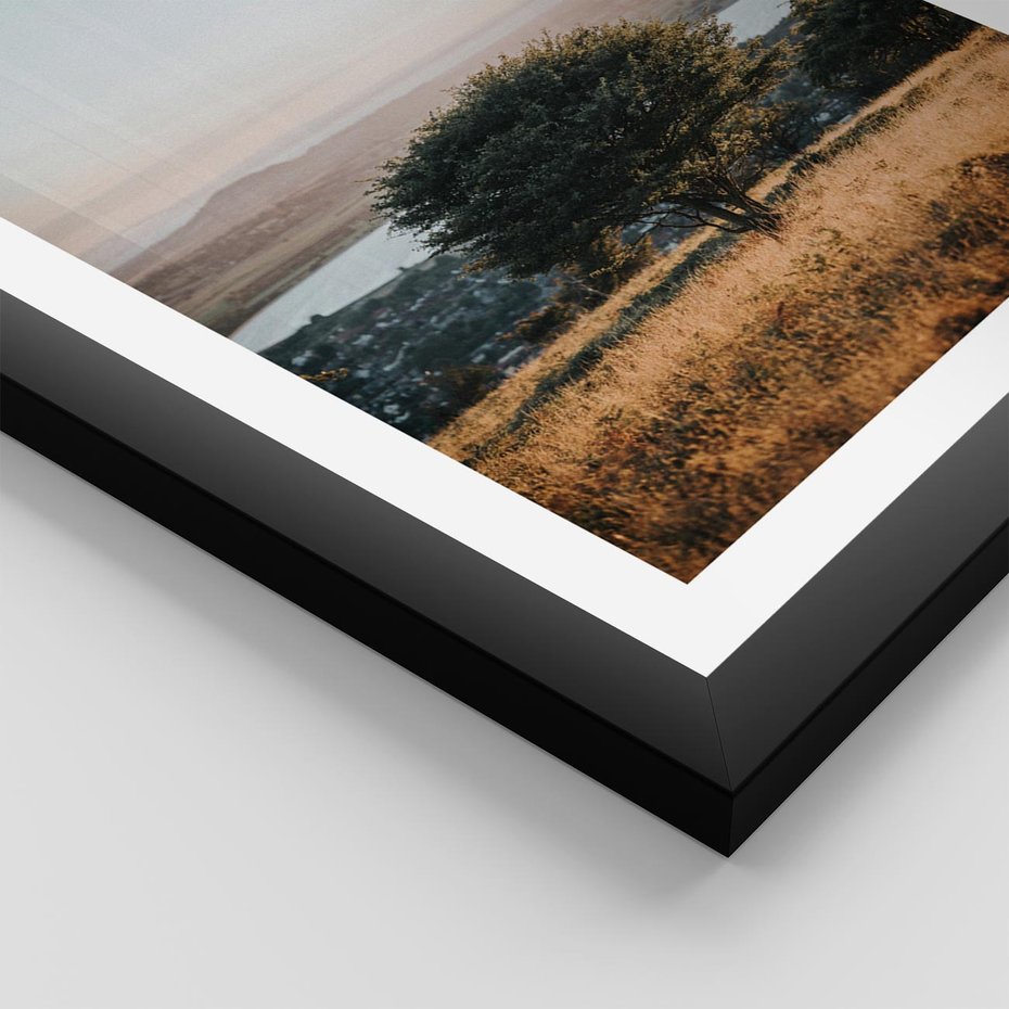 Plakat w ramie 30x40 - Siła Natury - drzewo, pejzaż - rama czarna