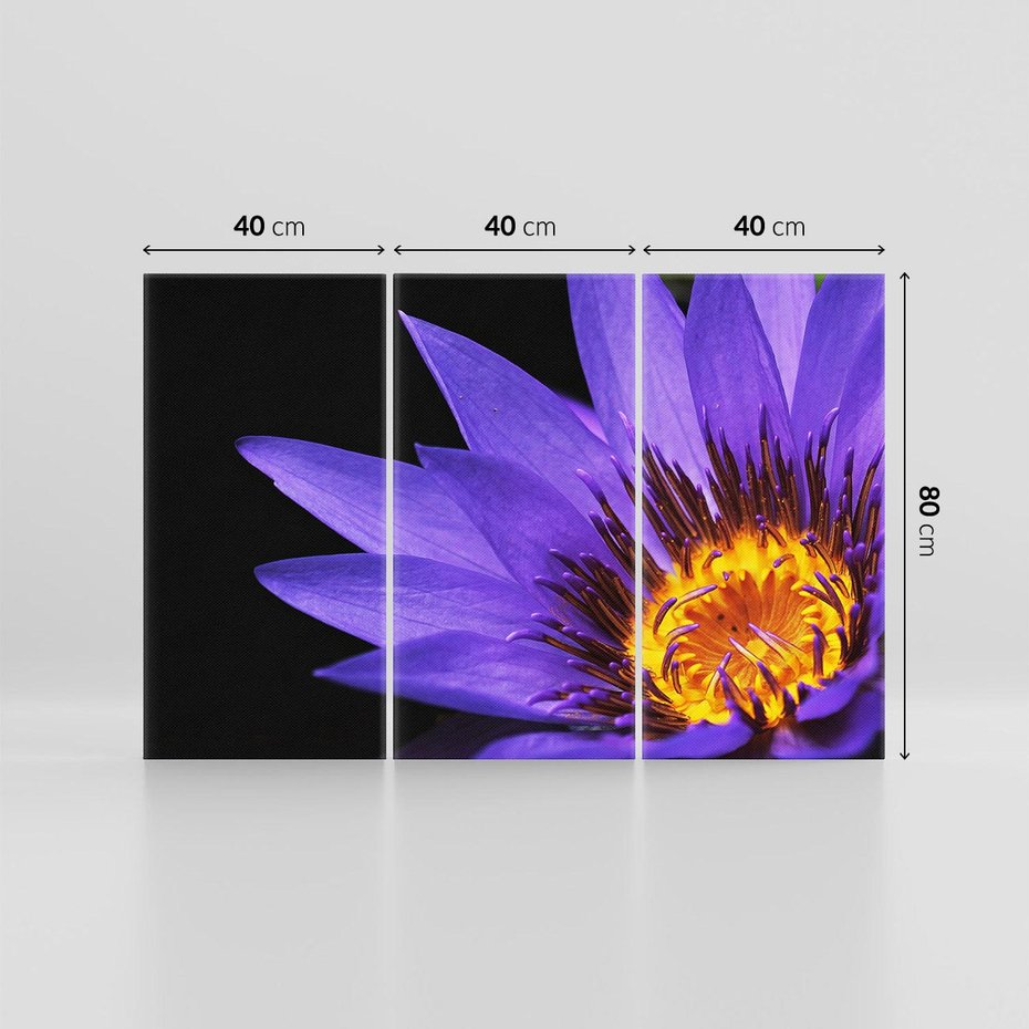 Obraz na płótnie 120x80 - Kwiatowa harmonia: Piękno natury - kwiat, kwiaty