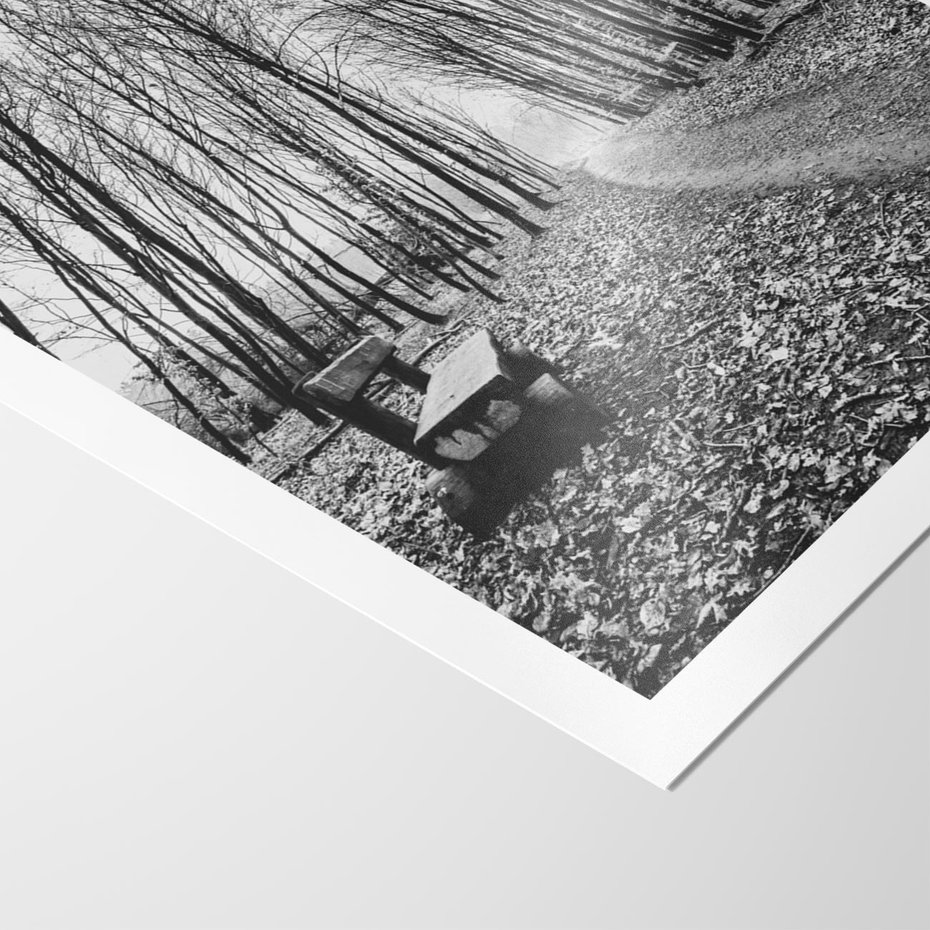 Plakat bez ramy 30x40 - Spadające Liście - czarno białe zdjecie, park