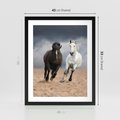 Plakat w ramie 40x50 - Siła koni w galopie - konie, galop - rama czarna