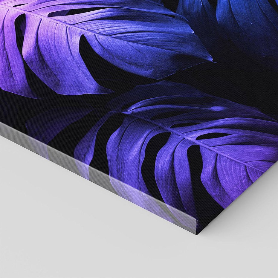 Obraz na płótnie 120x80 - Mroczna Magia Dżungli - mroczna grafika, fioletowe liście monstery na czarnym tle