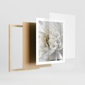 Plakat w ramie 40x50 - Białe Kwiaty Delikatności - białe, kwiaty - rama drewno