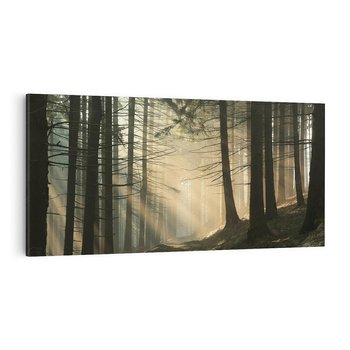 Obraz na płótnie 100x50 - Urok lasu: drzewa w pełnej okazałości - las, drzewa