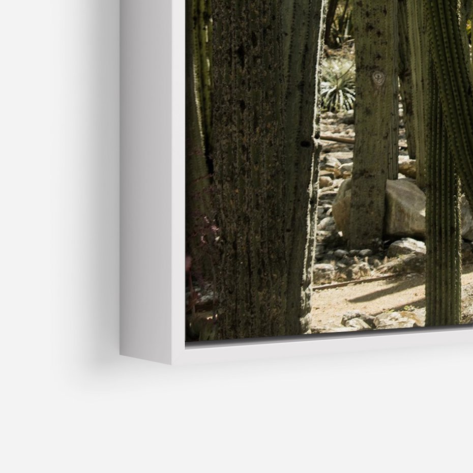 Obraz w ramie 70x100 - Wyjątkowy Klimat Boho - kaktusy, pustynia - rama biała