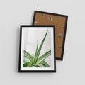 Plakat w ramie 30x40 - Zielone Piękno - aloes, liście - rama czarna