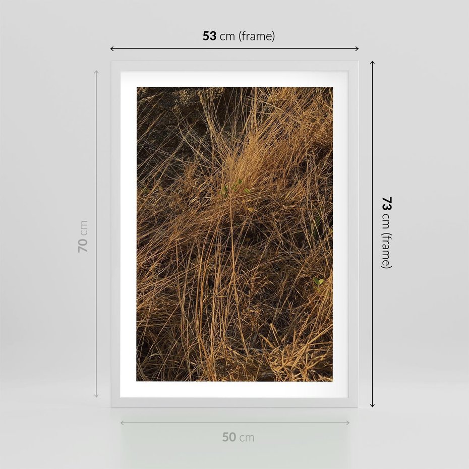 Plakat w ramie 50x70 - Szlachetna Suchość Traw - trawy, suche trawy - rama biała
