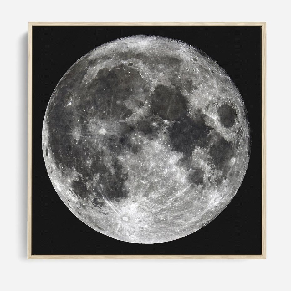 Obraz w ramie 80x80 - Księżycowa Aura - zdjęcie, ogromny księżyc na czarnym tle - rama drewno