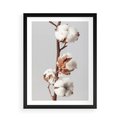 Plakat w ramie 50x70 - Spokojna Gałązka Bawełny - gałązka bawełny, prosta spokojna fotografia - rama czarna