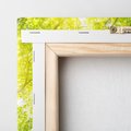Obraz na płótnie 60x60 - Drzewo pod Słońcem: Łączność z Naturą - drzewo, słońce