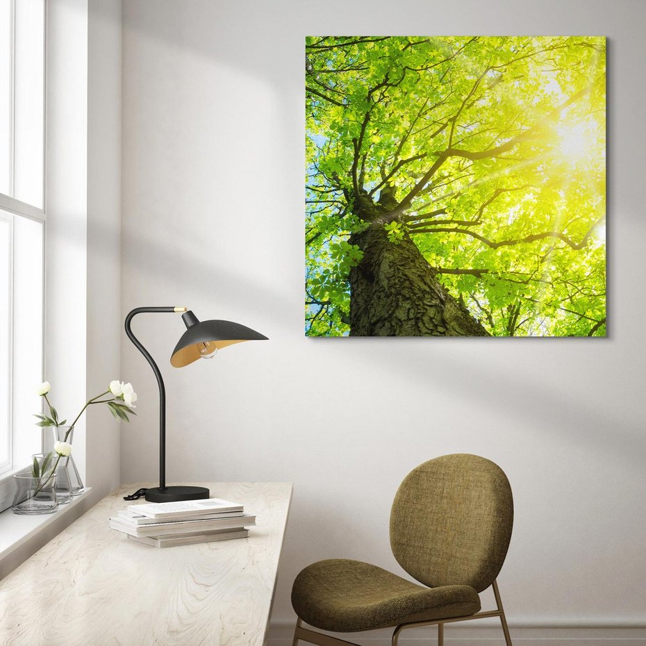 Obraz na płótnie 40x40 - Drzewo pod Słońcem: Łączność z Naturą - drzewo, słońce