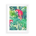 Plakat w ramie 50x70 - Egzotyczna Przygoda - tropikalne, liście - rama biała