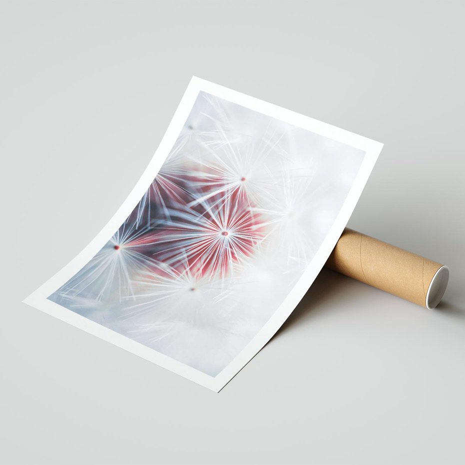 Plakat bez ramy 21x30 - Minimalistyczna Delikatność - zbliżenie, dmuchawce