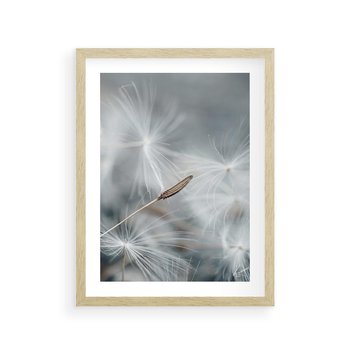Plakat w ramie 30x40 - Piękno w Delikatności - dmuchawiec, makro zdjęcie - rama drewno