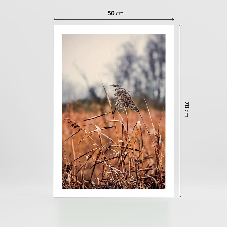 Plakat bez ramy 50x70 - Jesienna Melancholia - suche trawy, jesień