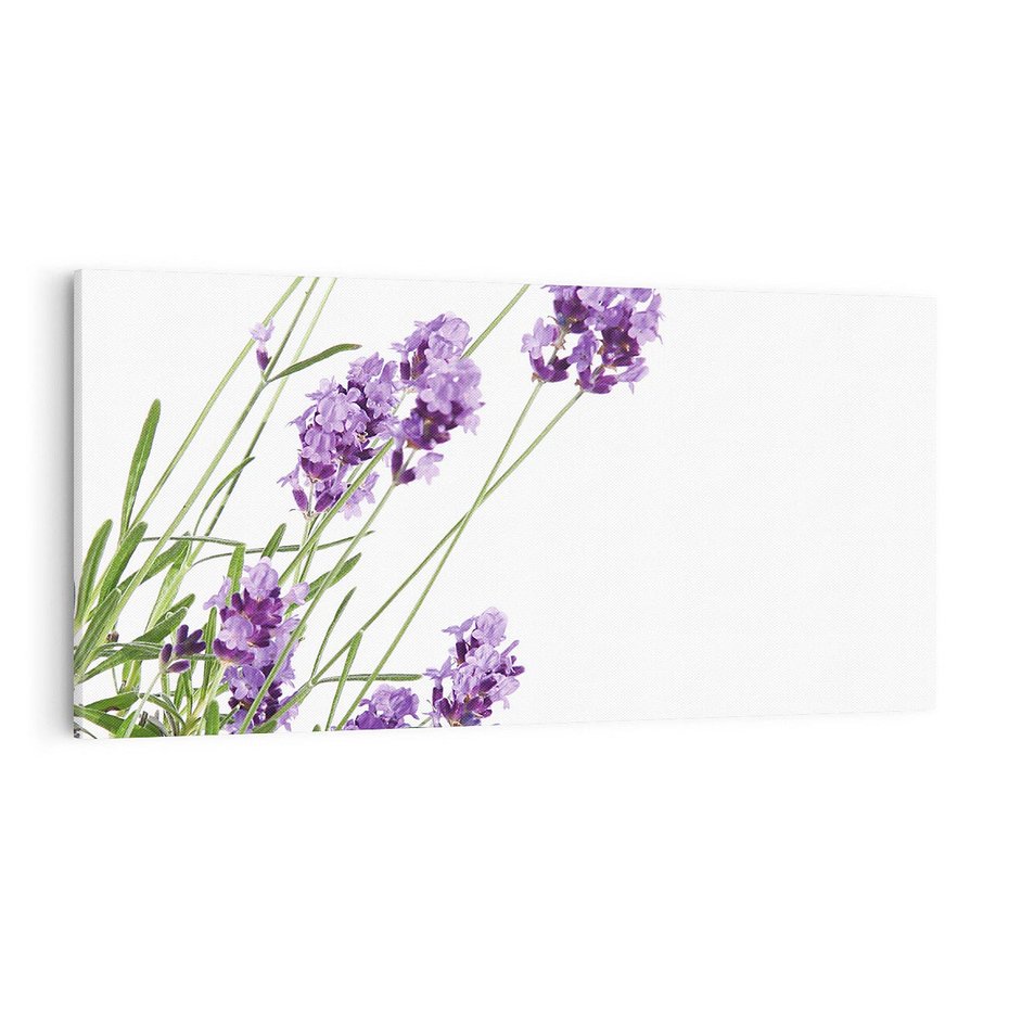 Obraz na płótnie 100x50 - Delikatny Urok - lawenda, kwiaty