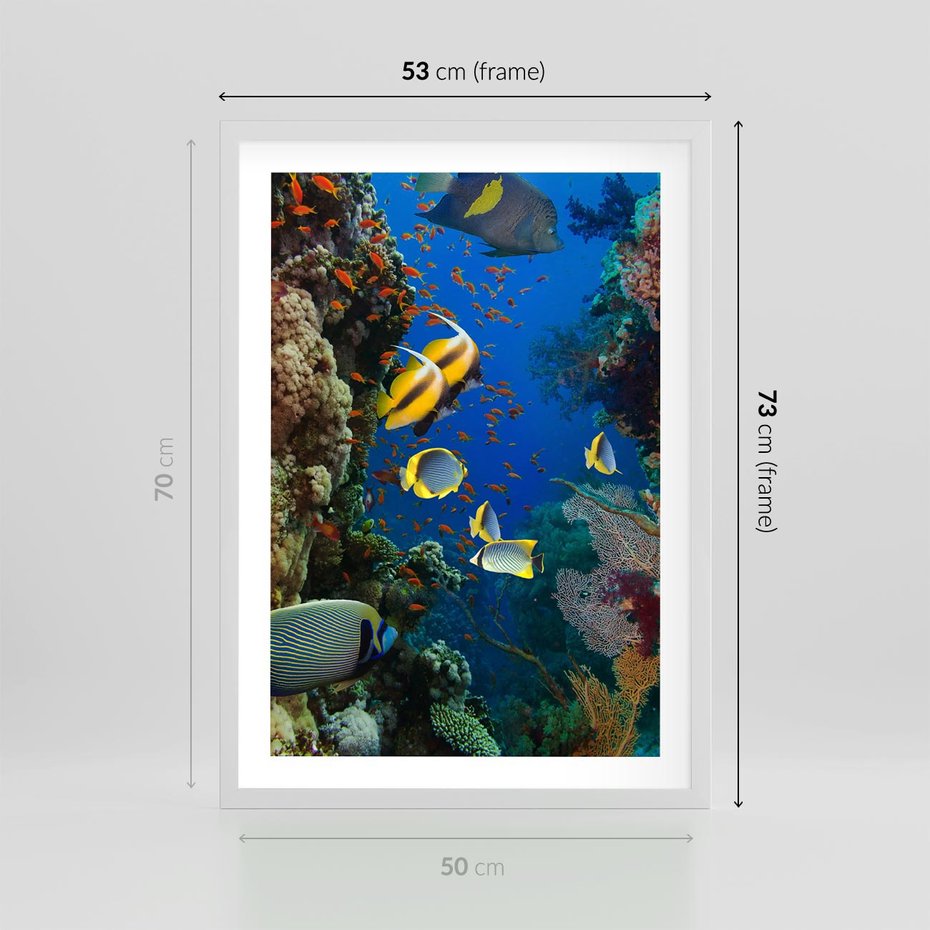 Plakat w ramie 50x70 - Podwodne królestwo rafy koralowej - rafa, koralowa - rama biała