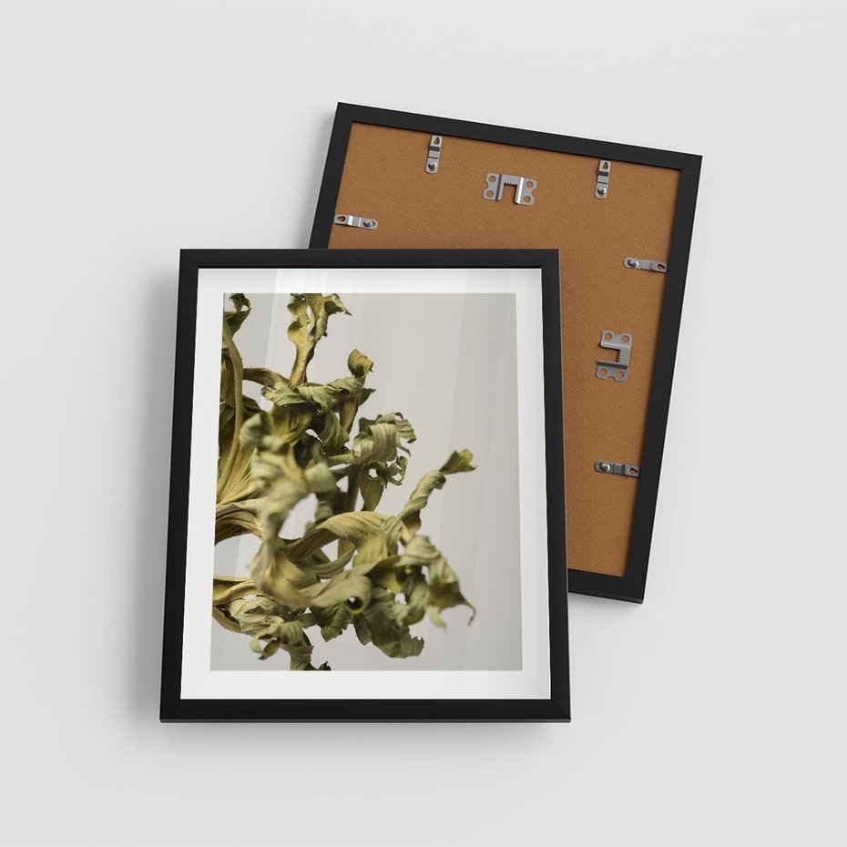 Plakat w ramie 40x50 - Odejście pory deszczowej - suche, trawy - rama czarna