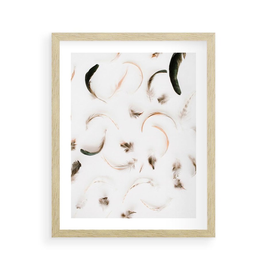 Plakat w ramie 40x50 - Kompozycja z Piór - pióra, kompozycja - rama drewno