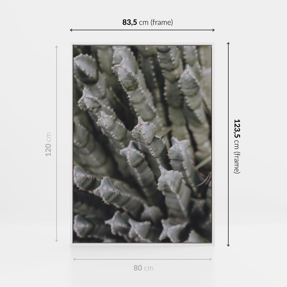 Obraz w ramie 80x120 - Boho kaktusy na pustyni - kaktusy, pustynia - rama biała