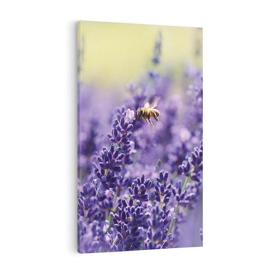 Obraz na płótnie 50x70 - Magia lawendy delikatne kwiaty - lawenda, kwiat