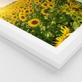 Plakat w ramie 30x40 - Idylla na łące słoneczników - łąka, słoneczniki - rama biała