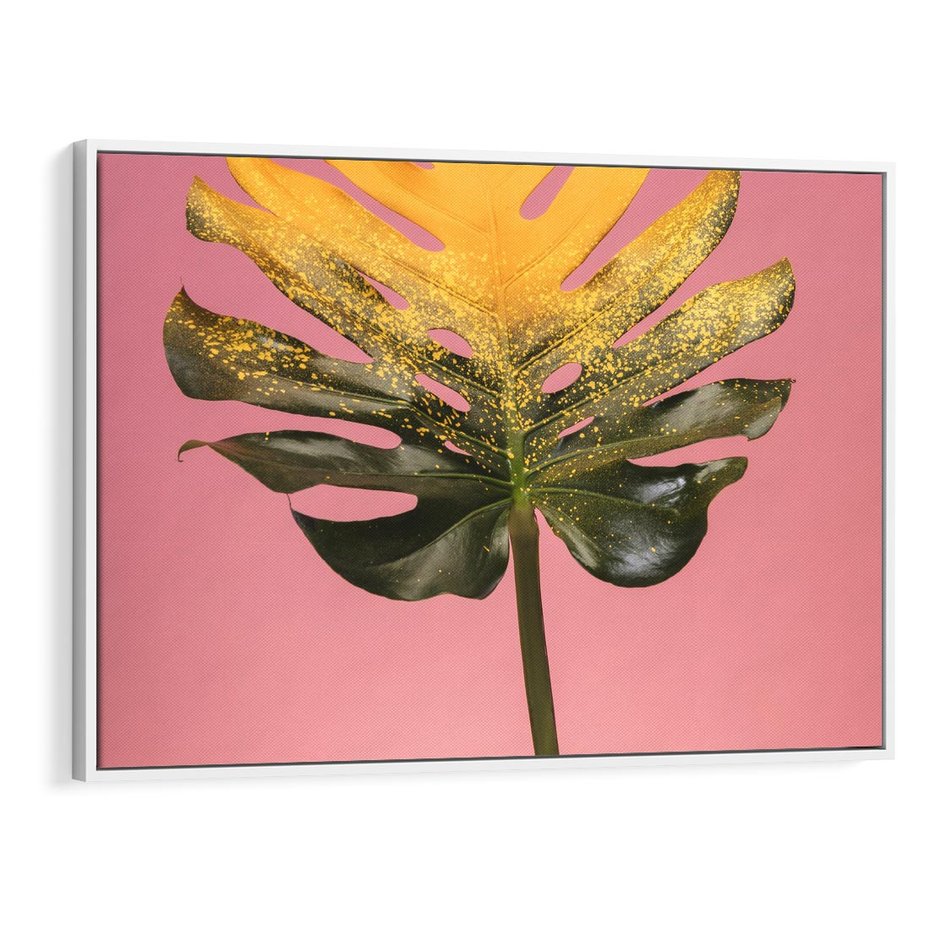 Obraz w ramie 70x50 - Majestatyczna monstera - monstera, liść - rama biała