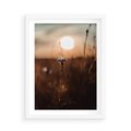 Plakat w ramie 50x70 - Spokój łąki pod zachodem słońca - zachód, słońca - rama biała