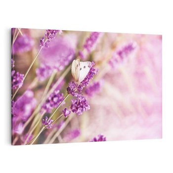 Obraz na płótnie 100x70 - Majestat lawendy: fioletowe pola - lawenda, fiolet