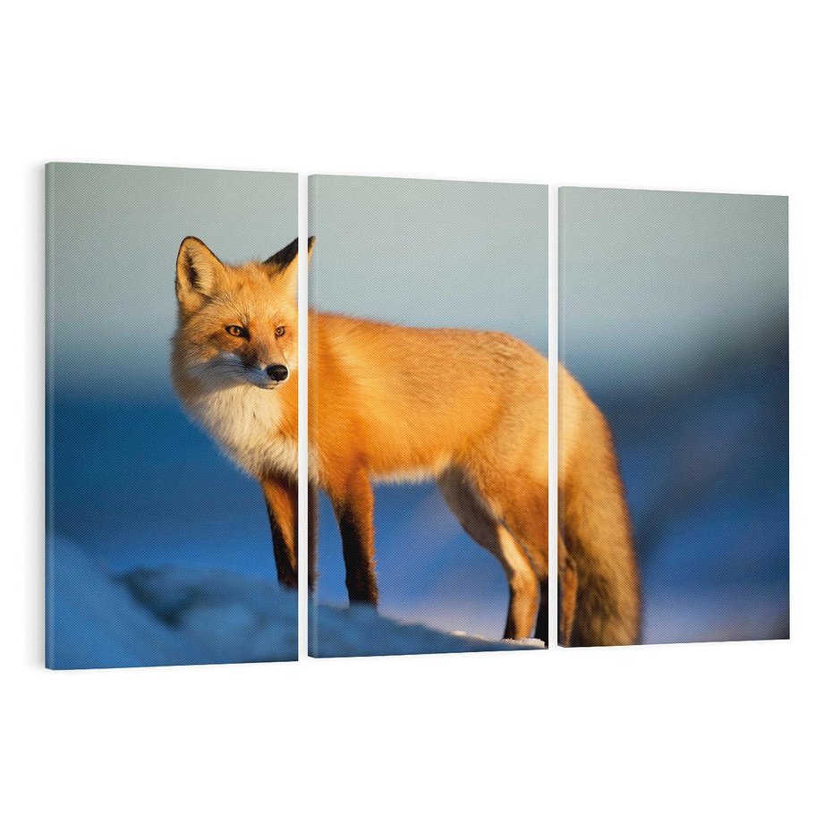 Obraz na płótnie 120x80 - Lisek w lesie - lis, lisek